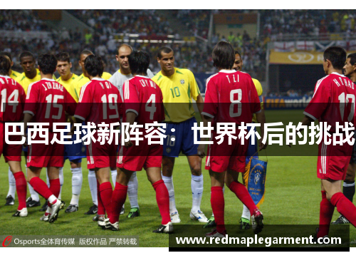 巴西足球新阵容：世界杯后的挑战
