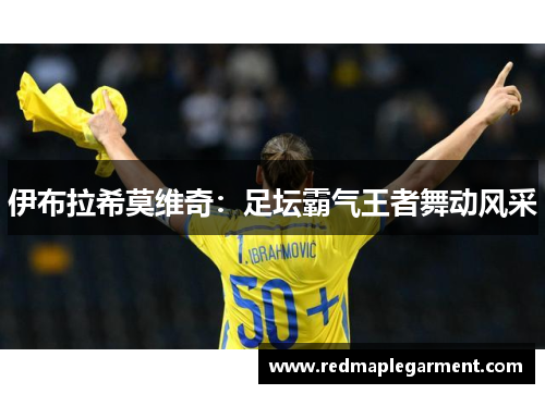 伊布拉希莫维奇：足坛霸气王者舞动风采