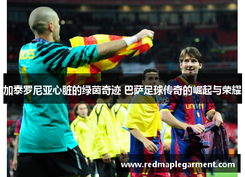 加泰罗尼亚心脏的绿茵奇迹 巴萨足球传奇的崛起与荣耀 加泰罗尼亚心脏的绿茵奇迹 巴萨足球传奇的崛起与荣耀