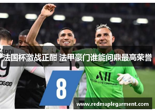 法国杯激战正酣 法甲豪门谁能问鼎最高荣誉